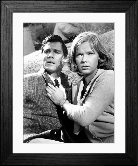 Framed Print : THE SATAN BUG, from left, George Maharis, Anne Francis, 1965 Framed Print : THE SATAN BUG, from left, George Maharis, Anne Francis, 1965