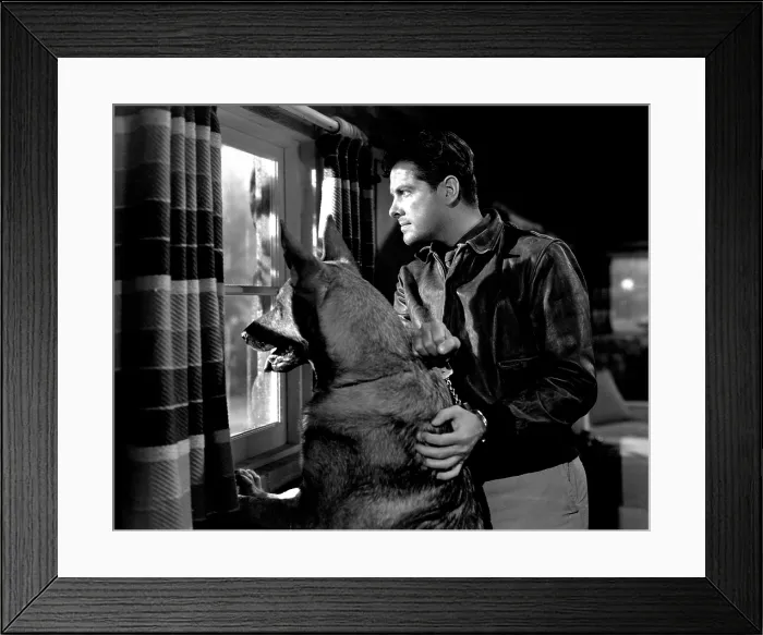 Framed Print : SABOTEUR, Robert Cummings, 1942 Framed Print : SABOTEUR, Robert Cummings, 1942