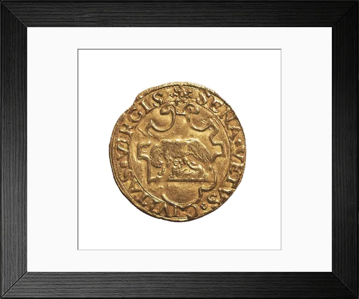 Framed Print : Golden escudo of the Republic of Siena (1532-1536). Coin. Private Collection. Proc: ITALY. SIENA. AISA / Everett Collection**US SALES ONLY**