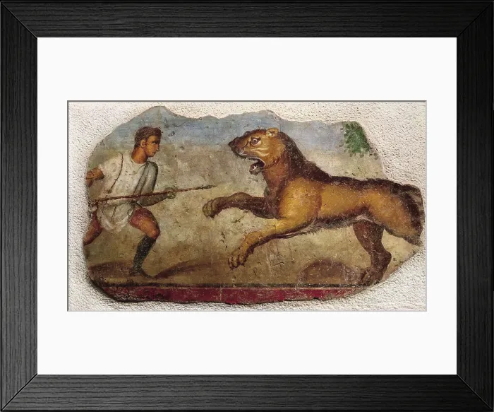 Framed Print : Gladiator fighting against a beast. ca. 1st c. Roman art. Fresco. SPAIN. Mrida.. National Museum of Roman Art. Proc: SPAIN. Mrida.. Roman Theatre