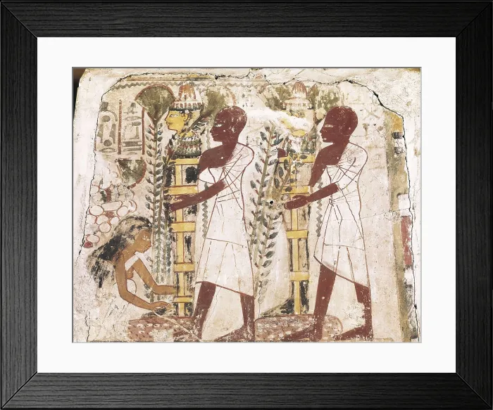 Framed Print : Preparation of the mummies for the purification ceremony. 16th c. BC. 17th Dynasty. Wall from a Theban tomb. Egyptian art. Middle Kingdom. Painting. ITALY. Florence