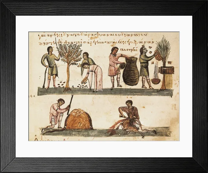 Framed Print : Cynegetica: treatise on hunting and fishing by Oppianus. Greek school (11th c.). Farming works: beating olives, picking honey and killing a lamb. Romanesque art
