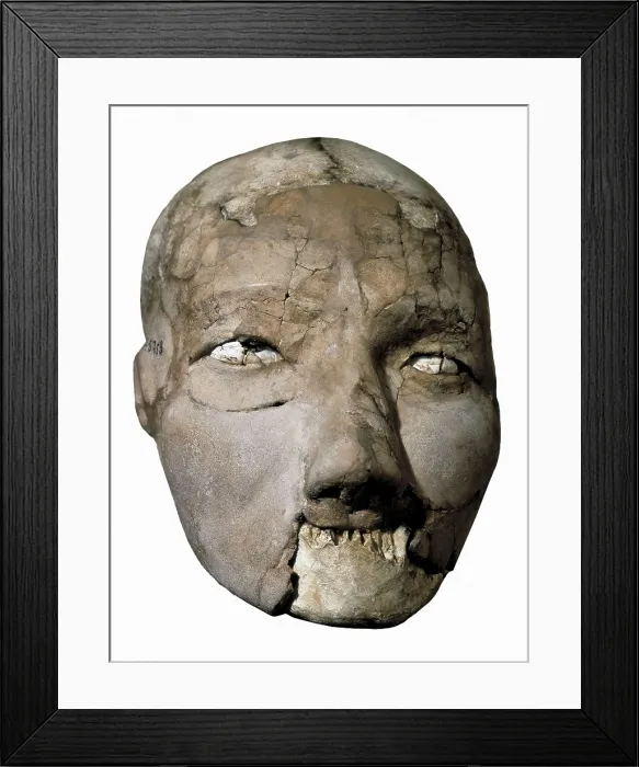 Framed Print : Skull, from Jericho. Neolithic art. JORDAN. Amman. Archaeological Museum. Proc: JORDAN. JERICHO. AISA / Everett Collection**US SALES ONLY** Framed Print : Skull, from Jericho. Neolithic art. JORDAN. Amman. Archaeological Museum. Proc: JORDAN. JERICHO. AISA / Everett Collection**US SALES ONLY**