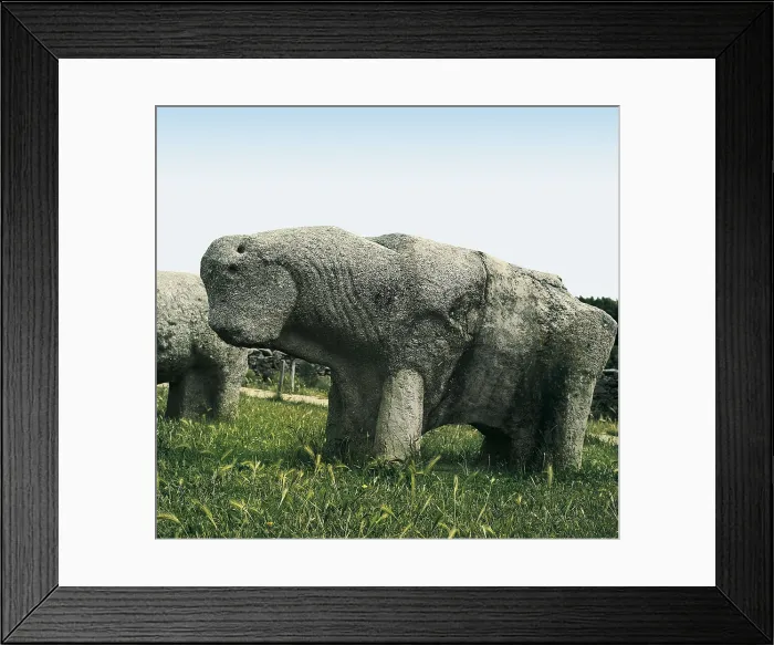 Framed Print : Bulls of Guisando. 3rd BC. SPAIN. El Tiemblo. Iberian art. Sculpture on rock. AISA / Everett Collection**US SALES ONLY**