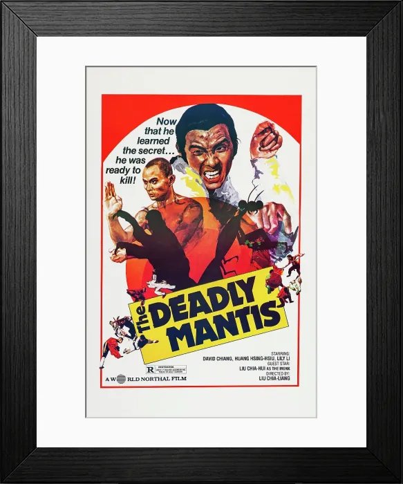 Framed Print : THE DEADLY MANTIS, (aka SHAOLIN MANTIS, aka TANG LANG), David Chiang on poster art, 1978