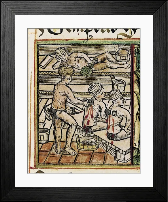 Framed Print : Tractatus de Pestilencia' by M. Albik. Application of vegetable dressings. Gothic art. Miniature Painting. CZECH Rep.. Prague. University Library