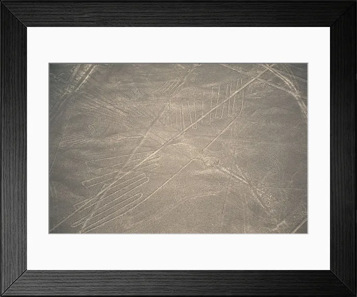 Framed Print : PERU. ICA. Palpa-Nazca Lines. Ceremonial and ritual geoglyphs (200-700 AD). Detail of condor. Nazca art. AISA / Everett Collection**US SALES ONLY** Framed Print : PERU. ICA. Palpa-Nazca Lines. Ceremonial and ritual geoglyphs (200-700 AD). Detail of condor. Nazca art. AISA / Everett Collection**US SALES ONLY**