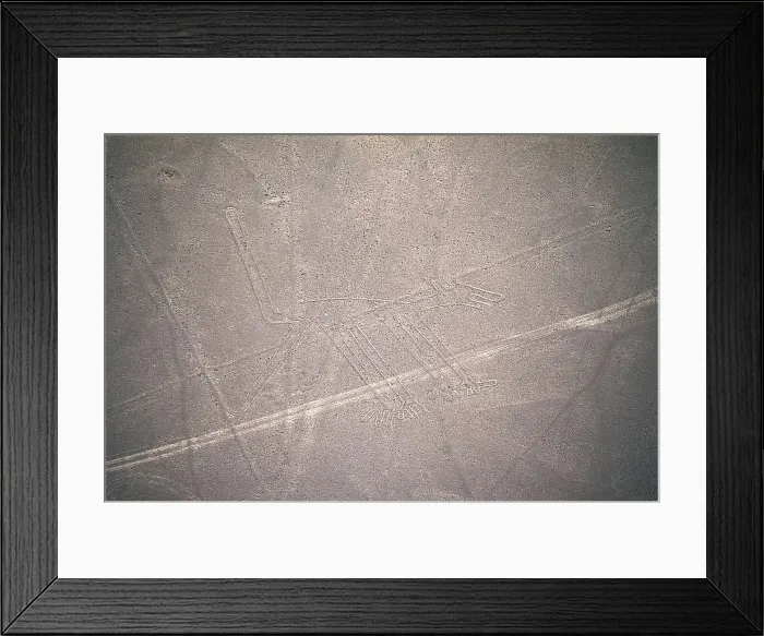 Framed Print : PERU. ICA. Palpa-Nazca Lines. Ceremonial and ritual geoglyphs (200-700 AD). Detail of dog. Nazca art. AISA / Everett Collection**US SALES ONLY**