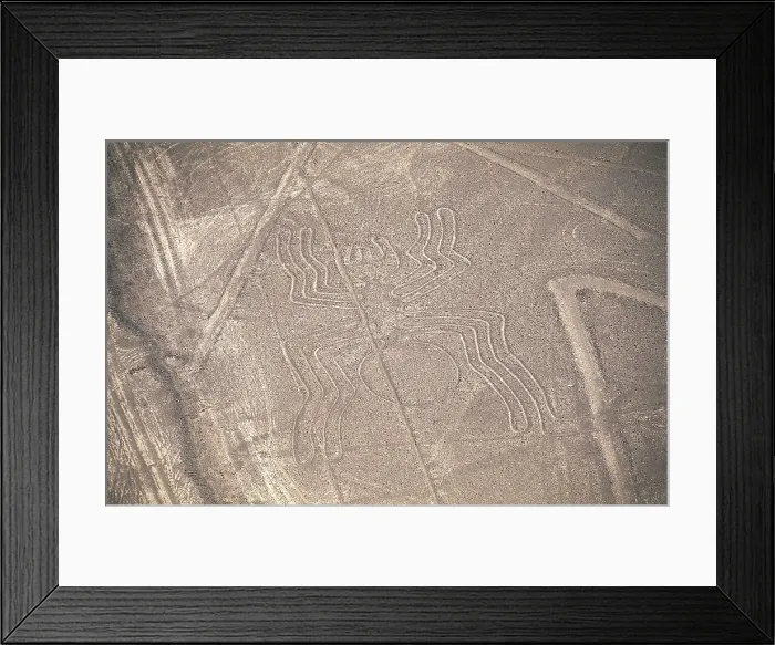 Framed Print : PERU. ICA. Palpa-Nazca Lines. Ceremonial and ritual geoglyphs (200-700 AD). Detail of spider. Nazca art. AISA / Everett Collection**US SALES ONLY**