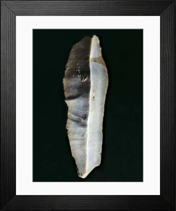 Framed Print : Blade. Upper Paleolithic. Magdalenian. AISA / Everett Collection**US SALES ONLY**