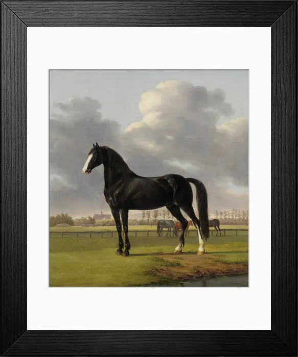 Framed Print : Adriaan van der Hoop's Trotter De Vlugge (The Fast One) in a Meadow, Anthony Oberman, 1828, Dutch painting, oil on canvas Framed Print : Adriaan van der Hoop's Trotter De Vlugge (The Fast One) in a Meadow, Anthony Oberman, 1828, Dutch painting, oil on canvas