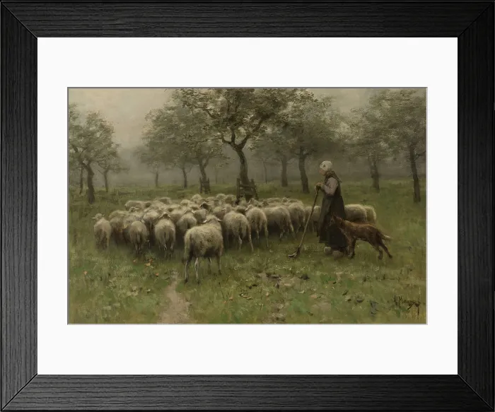 Framed Print : Shepherdess with a Flock of Sheep, by Anton Mauve, c. 1870-88, Dutch painting, oil on canvas. Sheep and dogs in an orchard. (BSLOC_2016_1_316) Framed Print : Shepherdess with a Flock of Sheep, by Anton Mauve, c. 1870-88, Dutch painting, oil on canvas. Sheep and dogs in an orchard. (BSLOC_2016_1_316)