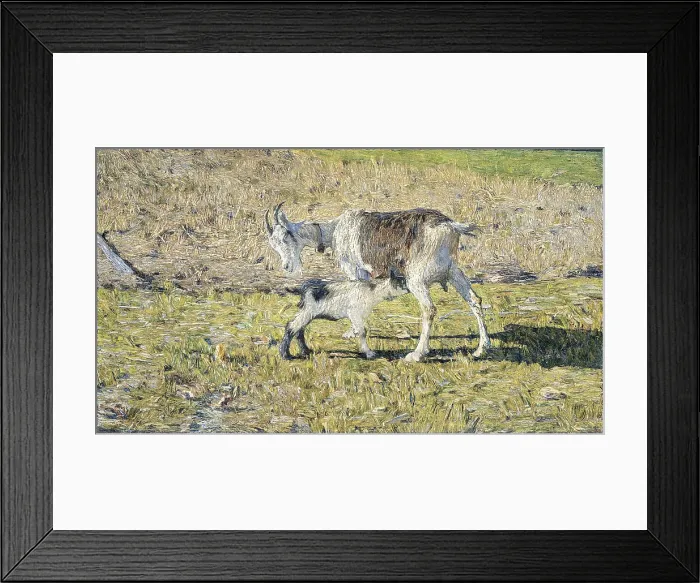 Framed Print : A Goat with her Kid, by Giovanni Segantini, 1890, Austrian painting, oil on canvas. Goat suckling her young in sun drenched landscape. (BSLOC_2016_1_318) Framed Print : A Goat with her Kid, by Giovanni Segantini, 1890, Austrian painting, oil on canvas. Goat suckling her young in sun drenched landscape. (BSLOC_2016_1_318)