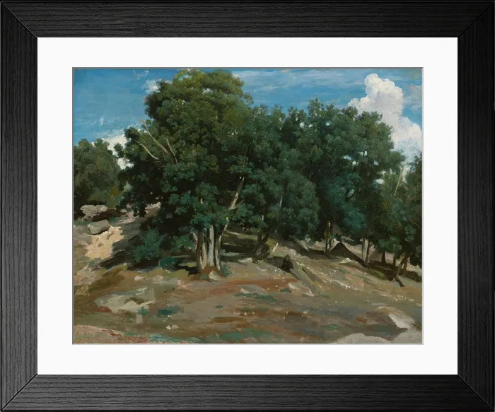 Framed Print : FOUNTAINEBLEAU: OAK TREES AT BAS-BREAU, by Camille Corot, 1832-33, French painting, oil on paper Framed Print : FOUNTAINEBLEAU: OAK TREES AT BAS-BREAU, by Camille Corot, 1832-33, French painting, oil on paper