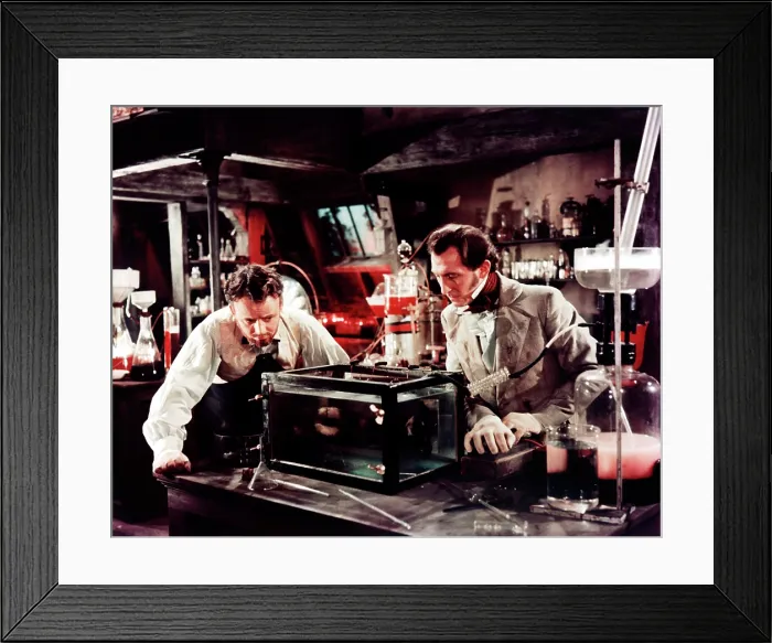 Framed Print : THE CURSE OF FRANKENSTEIN, from left: Robert Urquhart, Peter Cushing, 1957 Framed Print : THE CURSE OF FRANKENSTEIN, from left: Robert Urquhart, Peter Cushing, 1957