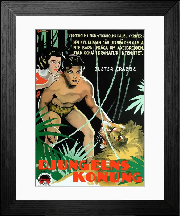 Framed Print : KING OF THE JUNGLE, (aka DJUNGELNS KONUNG), right: Buster Crabbe on Swedish poster art, 1933