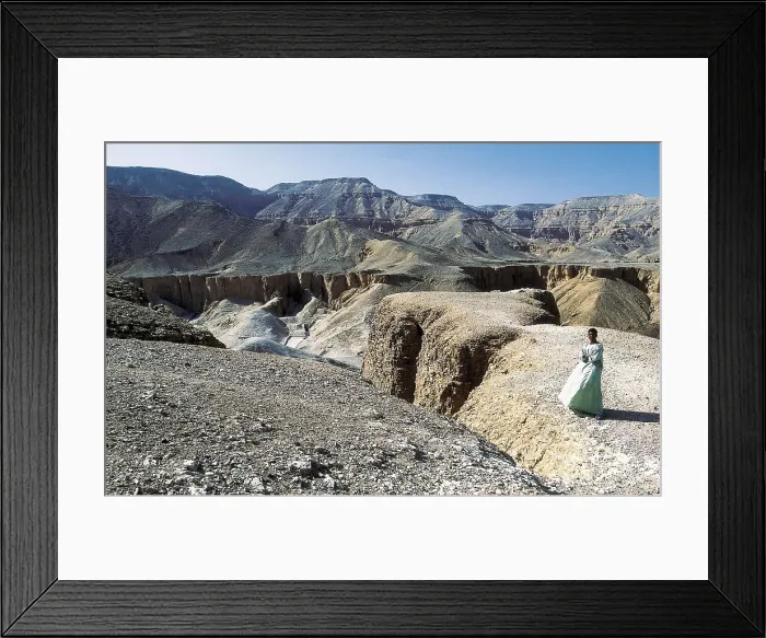 Framed Print : EGYPT. QUENA. Dayr al-Bahri. Valley of the Kings. Egyptian art. New Kingdom. AISA / Everett Collection**US SALES ONLY**
