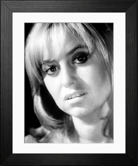 Framed Print : VENOM, Susan George, 1981, (c)Paramount / courtesy Everett Collection