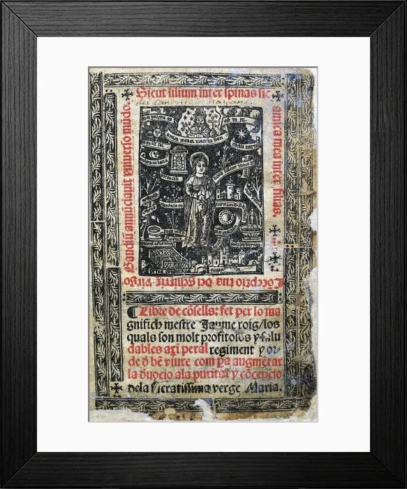 Framed Print : ROIG, Jaume ( -1478). Title page of the 'Llibre dels consells', edition of Valencia from 1551. Engraving. AISA / Everett Collection**US SALES ONLY**