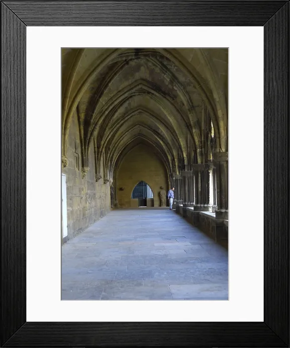 Framed Print : FRANCE. Bayonne. Gothic cloister of the Cathedral of Sainte-Marie (1240). Gothic art. AISA / Everett Collection**US SALES ONLY**