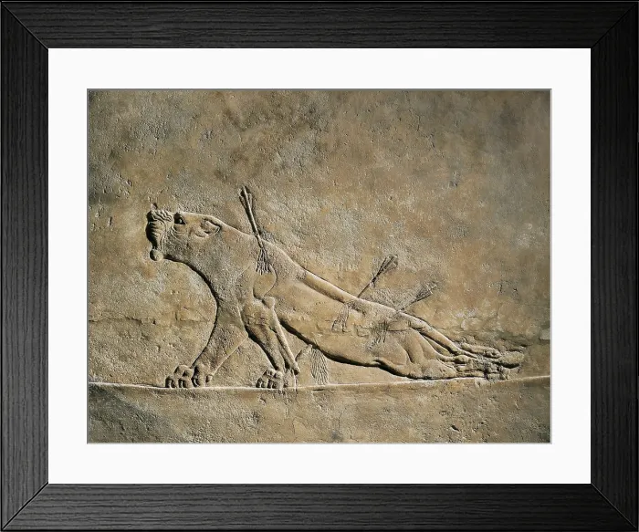 Framed Print : The Dying Lion. ca. 645 BC. Panel situado en la zona norte de palacio. Represetnacin del triunfo del reino asirio sobre la naturaleza. Assyrian art. Relief on rock Framed Print : The Dying Lion. ca. 645 BC. Panel situado en la zona norte de palacio. Represetnacin del triunfo del reino asirio sobre la naturaleza. Assyrian art. Relief on rock