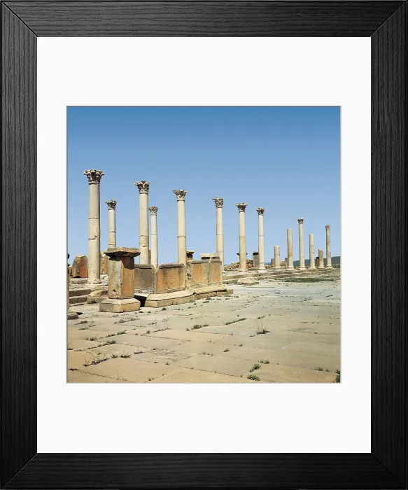 Framed Print : ALGERIA. BATNA. Timgad. Colonnade. AISA / Everett Collection**US SALES ONLY**