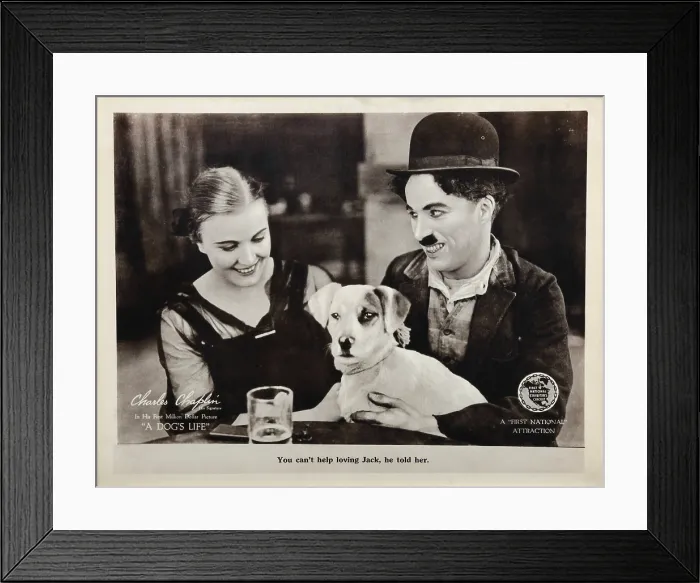 Framed Print : A DOG'S LIFE, US lobbycard, from left: Edna Purviance, Mut the Dog, Charles Chaplin (aka Charlie Chaplin), 1918