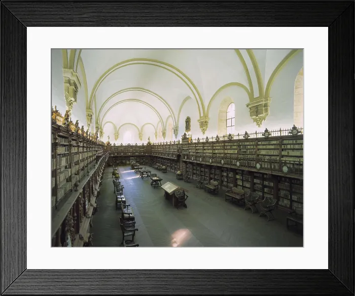 Framed Print : SPAIN. Salamanca. Salamanca University Library. Library of the ancient University of Salamanca. AISA / Everett Collection**US SALES ONLY**