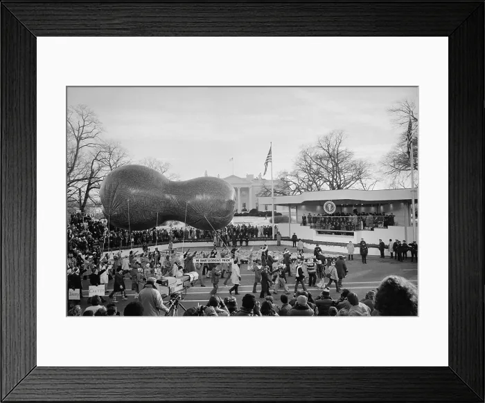 Framed Print : Peanut-shaped float passes by reviewing stand for the inauguration of President Jimmy Carter. Jan. 20, 1977