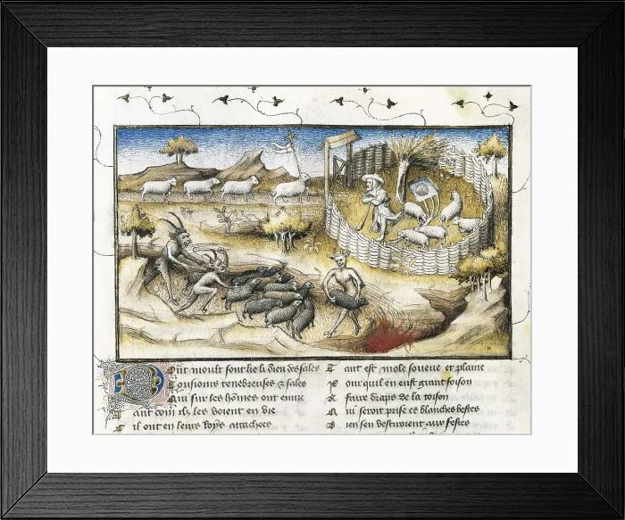 Framed Print : The Romance of the Rose. s.XIV. Representation of the Parable of the Good Shepherd. Miniature of folio 74v. Gothic art. Miniature Painting. SPAIN. Valencia Framed Print : The Romance of the Rose. s.XIV. Representation of the Parable of the Good Shepherd. Miniature of folio 74v. Gothic art. Miniature Painting. SPAIN. Valencia