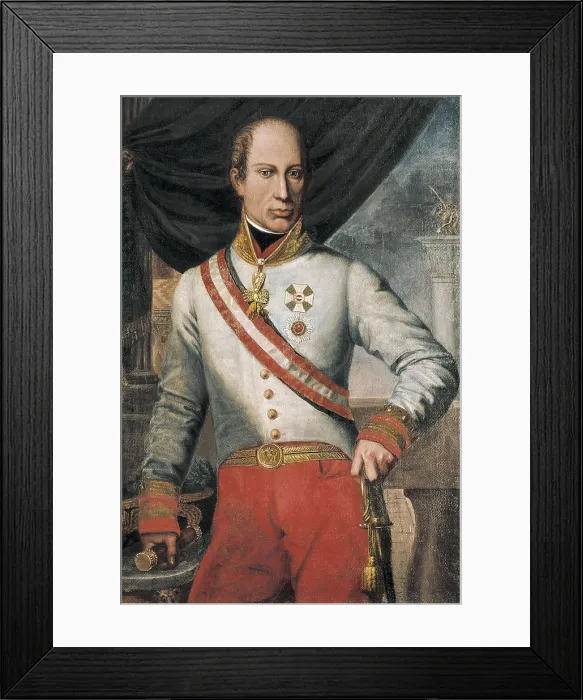 Framed Print : Francis II (1768-1835). Oil on canvas. ITALY. Venice. Correr Museum. AISA / Everett Collection**US SALES ONLY**