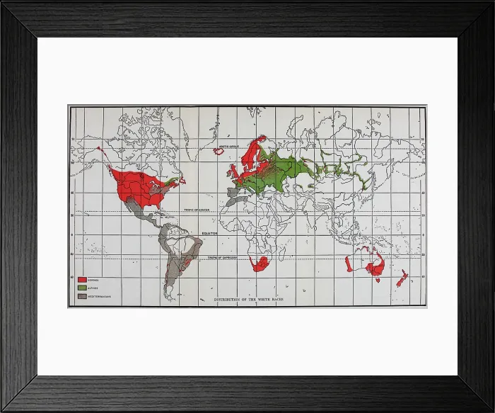 Framed Print : Map showing the Distribution of White Race in 1920 Framed Print : Map showing the Distribution of White Race in 1920