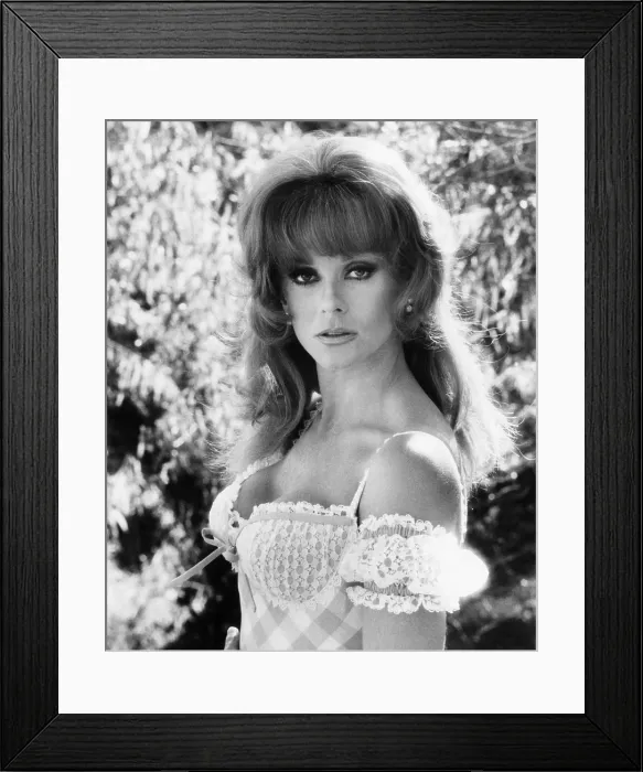 Framed Print : THE VILLAIN, (aka CACTUS JACK), Ann-Margret, 1979, (c) Columbia Pictures  /  Courtesy: Everett Collection
