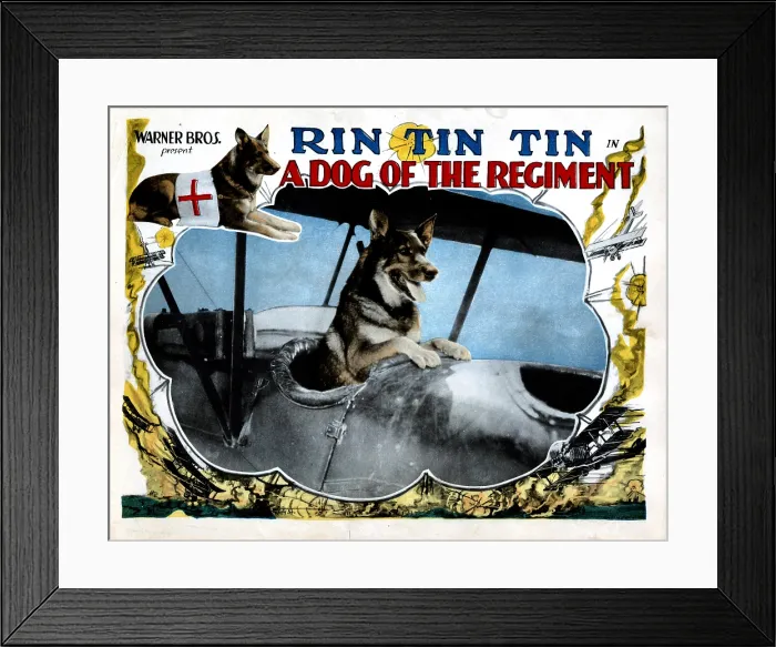 Framed Print : A DOG OF THE REGIMENT, Rin Tin Tin, 1927