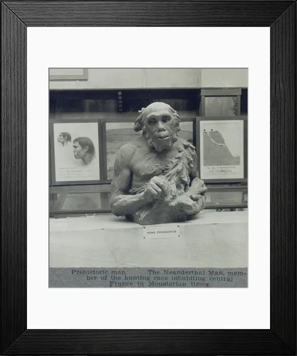 Framed Print : 1920s conjectural creation of a Neanderthal man