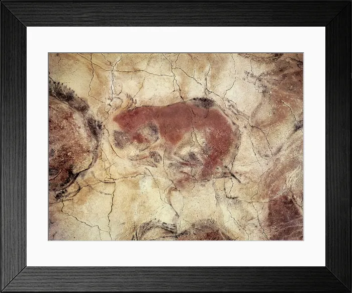 Framed Print : SPAIN. Santillana de Mar. Altamira Caves. Bison. Upper Paleolithic. Magdalenian. Cave. AISA / Everett Collection**US SALES ONLY**