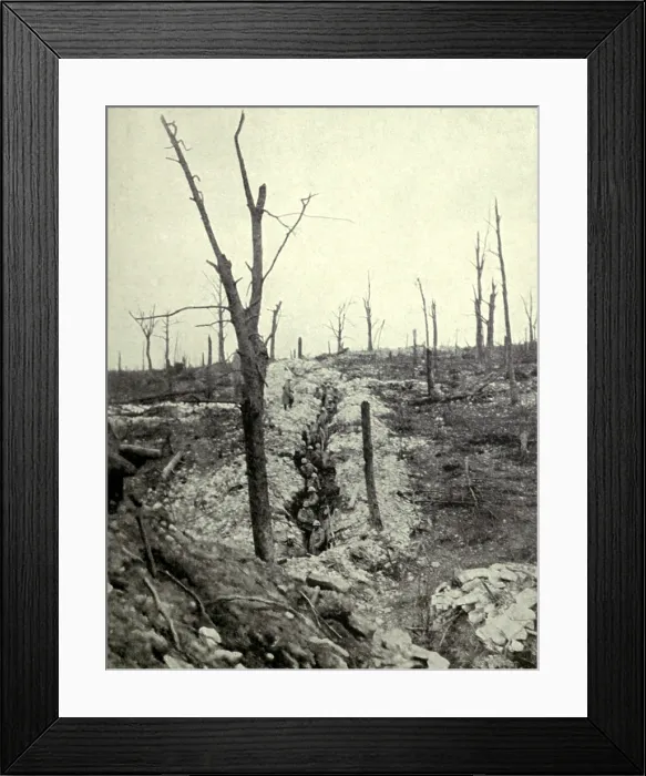 Framed Print : World War 1: Battle of Verdun. Entrenched French troops of the Mangin Division in the recaptured but blasted Caillette Wood. June 1916. (BSLOC_2013_1_103)