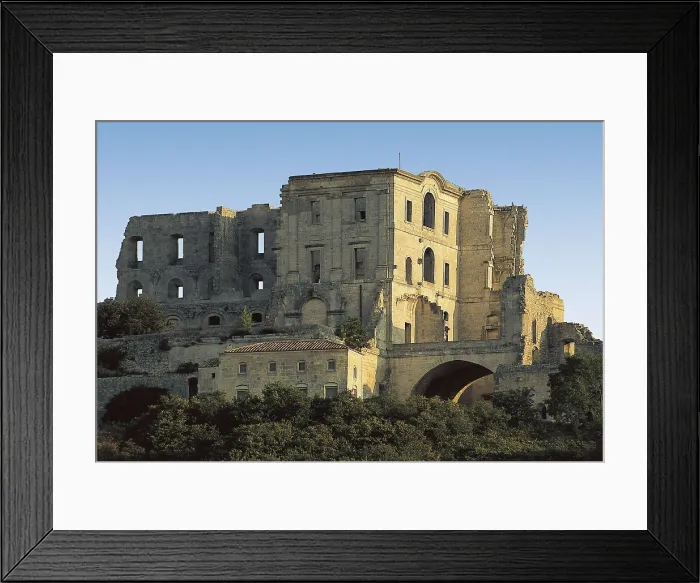 Framed Print : Abbey of Montmajour. FRANCE. PROVENCE ALPES CTE D'AZUR. BOUCHES-DU-RHNE. Arles. Romanesque art. AISA / Everett Collection**US SALES ONLY** Framed Print : Abbey of Montmajour. FRANCE. PROVENCE ALPES CTE D'AZUR. BOUCHES-DU-RHNE. Arles. Romanesque art. AISA / Everett Collection**US SALES ONLY**