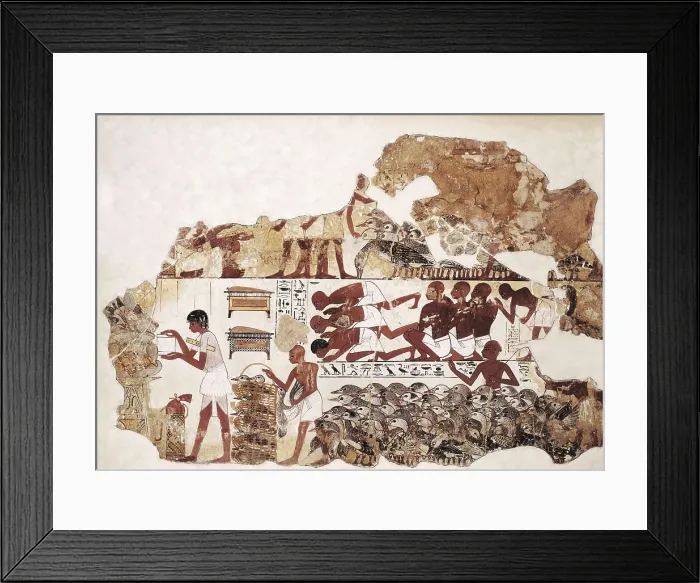 Framed Print : Counting the geese. ca. 1350 BC. 18th Dynasty. Wall painting from the tomb of Nebamun. Egyptian art. New Kingdom. Painting. UNITED KINGDOM. London. The British Museum Framed Print : Counting the geese. ca. 1350 BC. 18th Dynasty. Wall painting from the tomb of Nebamun. Egyptian art. New Kingdom. Painting. UNITED KINGDOM. London. The British Museum