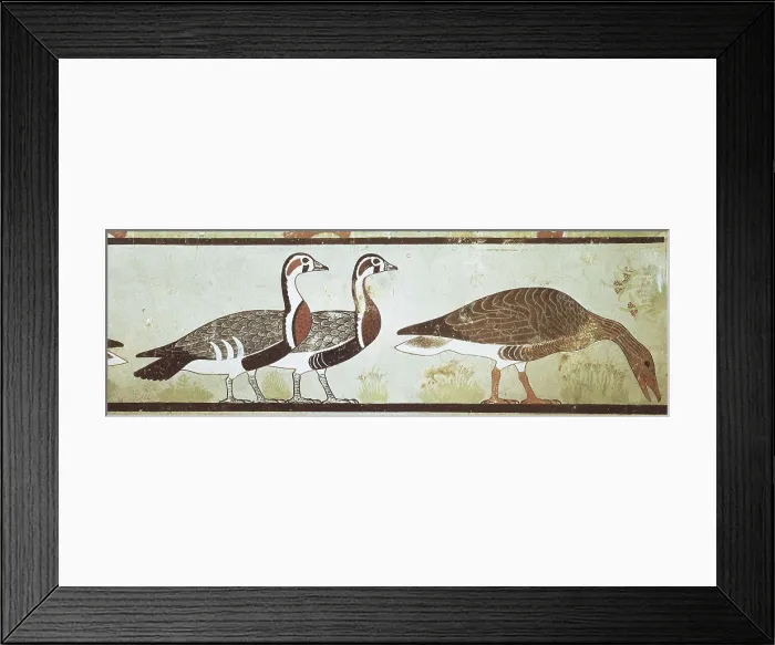 Framed Print : Meidum geese. 2723 BC. Detail. Painted stucco of the 4th Dynasty from the mastaba of Nefermaat and Atet. Egyptian art. Old Kingdom. Fresco. EGYPT. Cairo. Egyptian Museum