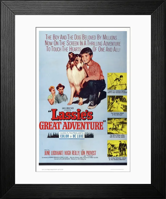 Framed Print : LASSIE'S GREAT ADVENTURE, US poster art, from left: June Lockhart, Hugh Reilly, Lassie, Jon Provost, 1963