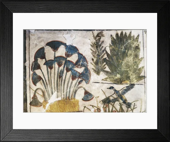 Framed Print : Painting from the Palace of Akhenaton. 1353 - 1335 BC. Plant motifs and a bird. Egyptian art. New Kingdom. Painting. EGYPT. Cairo. Egyptian Museum. Proc: EGYPT. Amarna Framed Print : Painting from the Palace of Akhenaton. 1353 - 1335 BC. Plant motifs and a bird. Egyptian art. New Kingdom. Painting. EGYPT. Cairo. Egyptian Museum. Proc: EGYPT. Amarna