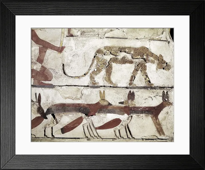 Framed Print : Reliefs from the tomb of Nefermaat. 2649 BC. Jackals and a panther. Form part of a representation of hunting in the desert