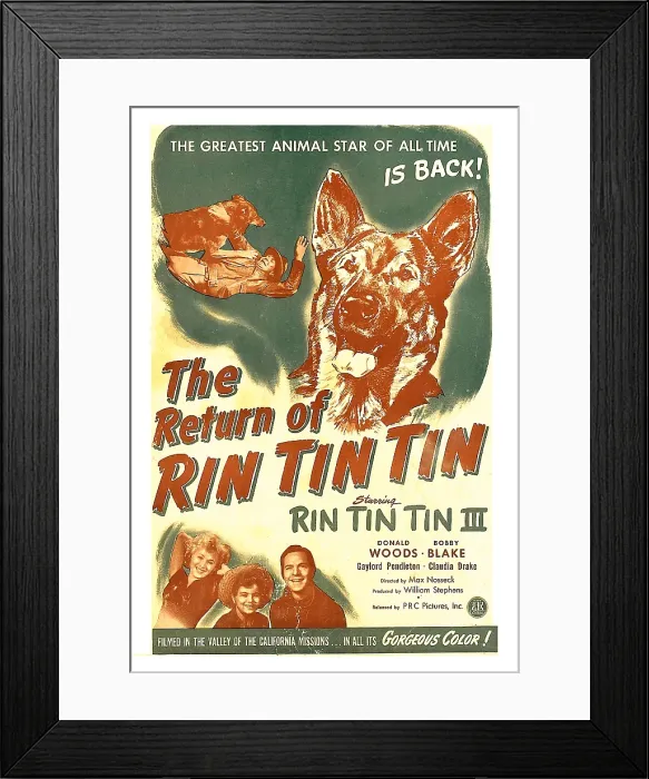 Framed Print : THE RETURN OF RIN TIN TIN, US poster, Rin Tin Tin III (center), bottom from left: Claudia Drake, Bobby Blake, Donald Woods, 1947