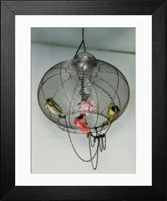 Framed Print : KUDO, Tetsumi (1935-1990). Composition. Fluxus. Sculpture. AISA / Everett Collection - Image has fine art copyright Framed Print : KUDO, Tetsumi (1935-1990). Composition. Fluxus. Sculpture. AISA / Everett Collection - Image has fine art copyright