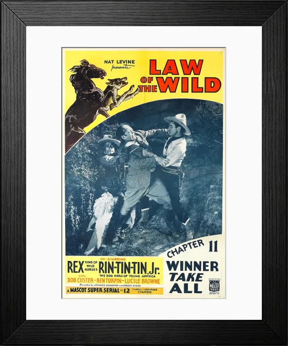 Framed Print : LAW OF THE WILD, top left: Rex, Rin Tin Tin, inset far right: Bob Custer in Chapter 11: Winner Take All, 1934