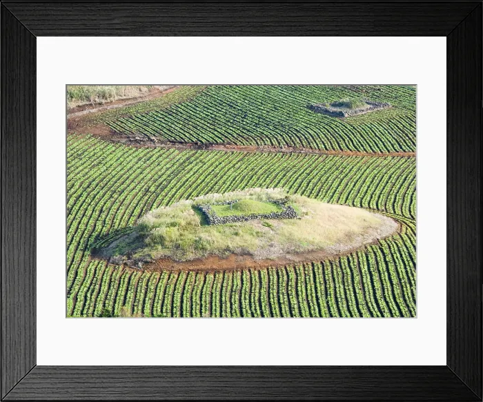 Framed Print : KOREA. JEJU-DO. Korean traditional tomb in the middle of the field. The application of feng shui techniques are basic to establish the place and the orientation Framed Print : KOREA. JEJU-DO. Korean traditional tomb in the middle of the field. The application of feng shui techniques are basic to establish the place and the orientation
