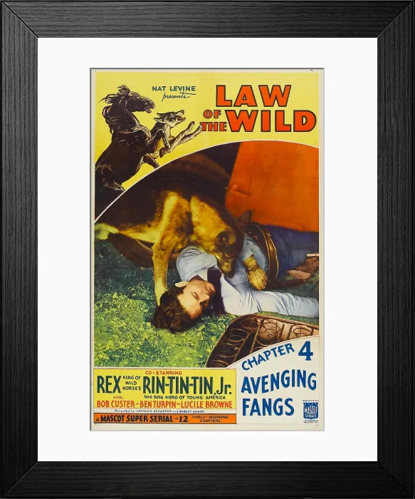 Framed Print : LAW OF THE WILD, top left: Rex, Rin Tin Tin, inset left: Rin Tin Tin in Chapter 4: Avenging Fangs, 1934