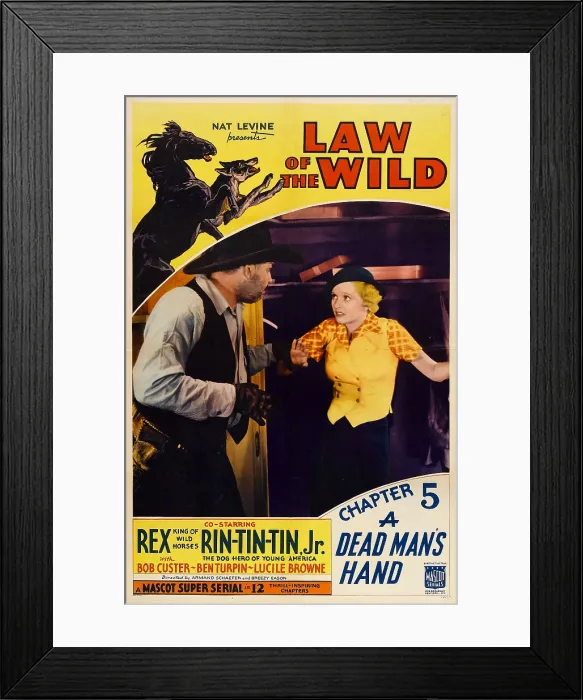 Framed Print : LAW OF THE WILD, top left: Rex, Rin Tin Tin, inset right: Lucille Browne in Chapter 5: A Dead Man's Hand, 1934 Framed Print : LAW OF THE WILD, top left: Rex, Rin Tin Tin, inset right: Lucille Browne in Chapter 5: A Dead Man's Hand, 1934
