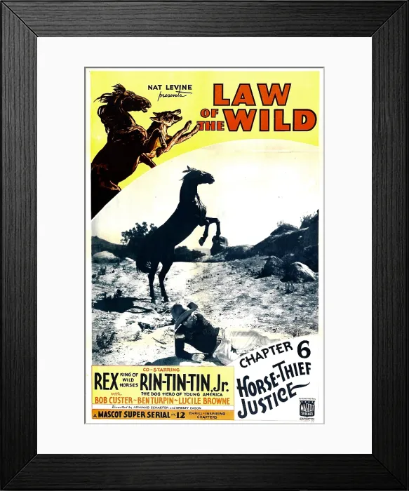 Framed Print : LAW OF THE WILD, top left: Rex, Rin Tin Tin, inset top: Rex in Chapter 6: Horse Thief Justice, 1934